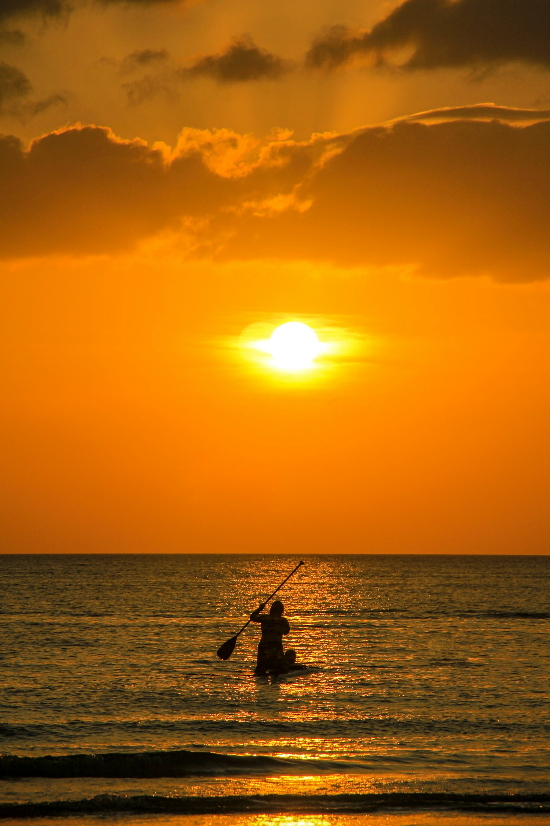 Angler silhouetted against the sunset holding a fish